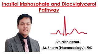 Inositol triphosphate and Diacylglycerol Pathway by Dr Nitin Nema [upl. by Anirhtak]