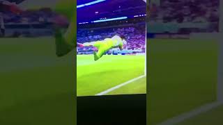 Argentina goalkeeper 😎😘😍😎👏 viralvideo smartphone foryou tech [upl. by Enrak138]