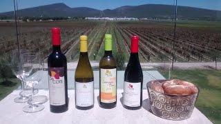 Tour Bodegas y Viñedos De Cote [upl. by Cliffes]