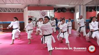 Clase de Karate específica de kata de competencia en La Sabiduría Del Guerrero  México DF [upl. by Hanonew]