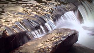 Agua fuente de vida  Español [upl. by Elleda]