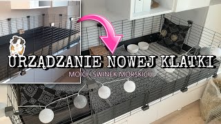 URZĄDZANIE NOWEJ KLATKI moich świnek morskich🐷🏡 [upl. by Emelen589]