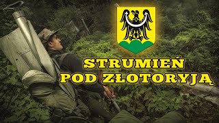 ✨Złotoryja i jej strumienie materiał w rzece książkowy wręcz idealny❗️ Polskie złoto ⛏🟡 [upl. by Heng]