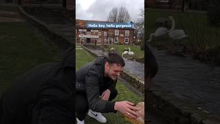 Banned Muzzled XLBully Grabs A Mans Hand And Touches His ❤️ dog puppy xlbully love dogwalk [upl. by Nitsur]