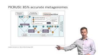 Microbiome Discovery 20 PICRUSt and predicting functions [upl. by Bascio]