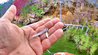 A Fishing Bait That Crappie Simply Cant Resist [upl. by Anert]