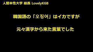 中級韓国語 韓国語の「오징어」はイカですが、元々漢字から来た言葉でした。 人間本性大学語学部 [upl. by Ahsilyt]