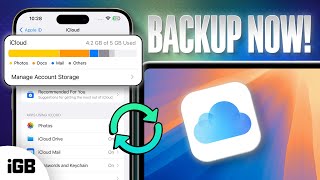 How to Backup Your iPhone All Possible Methods 2024 Guide [upl. by Nakah]