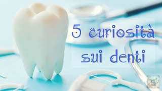 5 Curiosità Sui DENTI [upl. by Behlke]