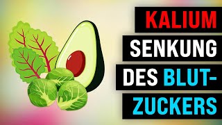 Kalium bei Diabetes Insulinresistenz [upl. by Sixla]