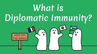 What is Diplomatic Immunity [upl. by Wain]