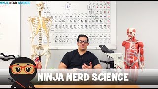 Welcome to Ninja Nerd Science [upl. by Lledor]