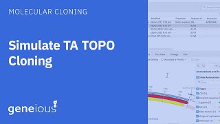 TA TOPO Cloning with Geneious Prime [upl. by Mylo]