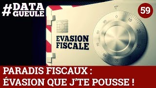 Paradis fiscaux  évasion que jte pousse   DATAGUEULE 59 [upl. by Eitten]