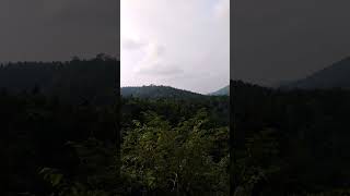 Lawapani  Forest  View  Videos natural music 🎶 travel event [upl. by Nailimixam692]