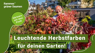 Leuchtende Herbstfarben für deinen Garten [upl. by Rivalee]