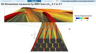 Analysis of Coolant Flow Visualization and Mixing Characteristics   KSV 2023 [upl. by Sankey]