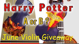 Harry Potter Custom Violin  June Giveaway  FiddlingWhistle [upl. by Aecila]