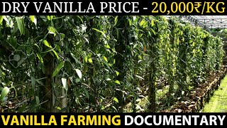 VANILLA FARMING  VANILLA CULTIVATION [upl. by Aigneis]