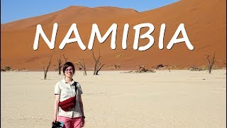 AFRICAN ADVENTURE  TRAVEL VIDEO NAMIBIA 2017 🐘 [upl. by Hoopen]