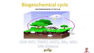 Biogeochemical cycle  Nitrogen Cycle Tamil CSIR NET TNSET GATE Life Science BSc MSc Biology [upl. by Sirromad]