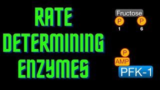 USMLE Step 1  Lesson 53  ratedetermining enzymes [upl. by Arihaj635]