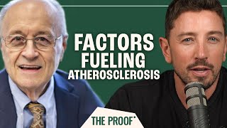 How Endothelial Dysfunction Causes Atherosclerosis  Dr Thomas Dayspring  The Proof Ep 251 [upl. by Ecirahc]