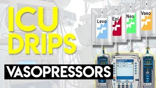 Vasopressors Part 1  ICU Drips [upl. by Adnalor]