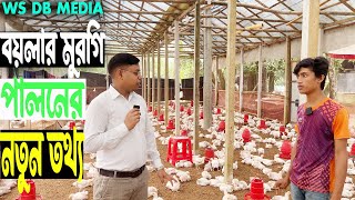 বয়লার মুরগির নতুন তথ্য New information on Boiler Chicken Saydulislam240 WS DB MEDIA ​⁠ [upl. by Cotter]