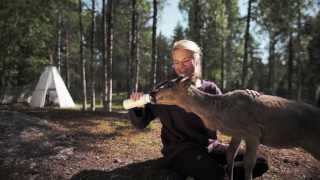 Summer at the Arctic Circle Rovaniemi Lapland [upl. by Angrist]