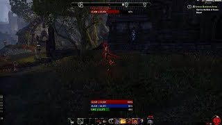 ESO Harmles crown store preview bug turns you into pets  Kitty POV [upl. by Oiraved]