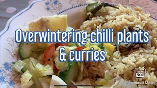 sylhetivlog bangladeshivlogger sylhetivlogger Overwintering chilli plants amp curries [upl. by Samuel344]