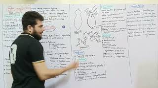 phylum platyhelminthes  General Characteristics  Join MR Academy [upl. by Elianora]