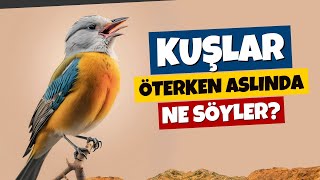 Kuşlar Öterken Aslında Bizlere Neler Söylediğini Biliyor muyuz Hiçbirisi Boş Konuşmuyor [upl. by Goodrich]