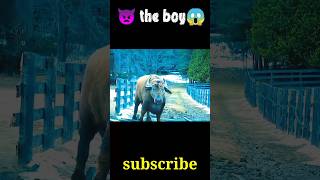 The boy full movie explained shots hollywoodmovies movies [upl. by Rollin]