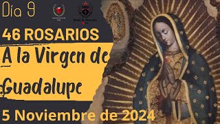 Día 9 de los 46 Rosarios a la Virgen de Guadalupe 5 de Noviembre de 2024 MISTERIOS DOLOROSOS [upl. by Maison]