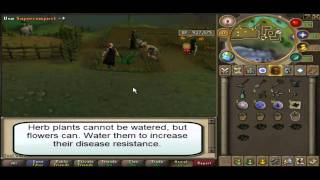 RuneScape  Herb Farming Guide [upl. by Binette647]