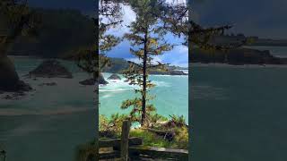 Mendocino California is such a hidden gem mendocino california northerncalifornia [upl. by Yc]