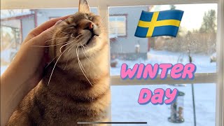 A day of my Life in Sweden  Janssons Frestelse recipe [upl. by Launce]