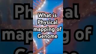 What is physical mapping of a genome [upl. by Ahsetan]