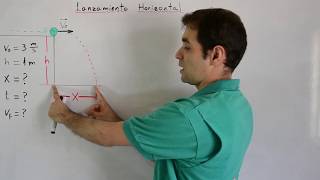 ⚖️ Equilibrio Rotacional Torque o Momento de una Fuerza  Video 8  Nivel Bachillerato [upl. by Gerkman]