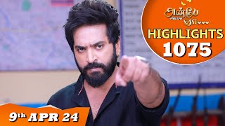 Anbe Vaa Serial  EP 1075 Highlights  9th April 24  Virat  Shree Gopika  Saregama TV Shows Tamil [upl. by Salazar]