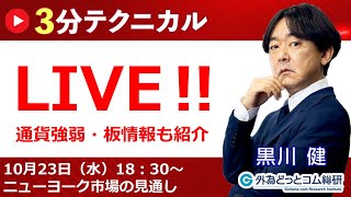 見通しズバリ！3分テクニカル分析「ライブ‼」 NY市場の見通し 2024年10月23日 [upl. by Anurb]