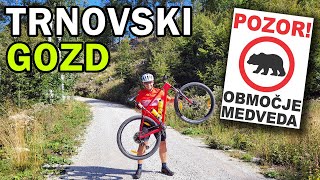 Kolesarjenje v območju medveda  TRNOVSKI GOZD [upl. by Alaham]