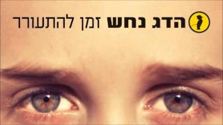 הדג נחש עם יוסי פיין  פזמון  Hadag Nahash with Yossi Fine  Pizmon [upl. by Dayna]