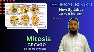 Mitosis  Stages of mitosis  significance of mitosis  class 11 [upl. by Eicyaj]