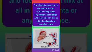 Structure and Function of Placenta embryology Physiology Zoology medicine placenta [upl. by Acinonrev]