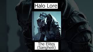 Elites Explained  Sangheili  Halo Lore [upl. by Worthington383]