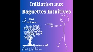 Initiation Baguettes intuitives avec DAileFine [upl. by Nyrtak]