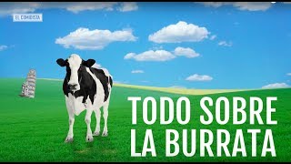 EL COMIDISTA  Todo sobre la BURRATA [upl. by Lody]